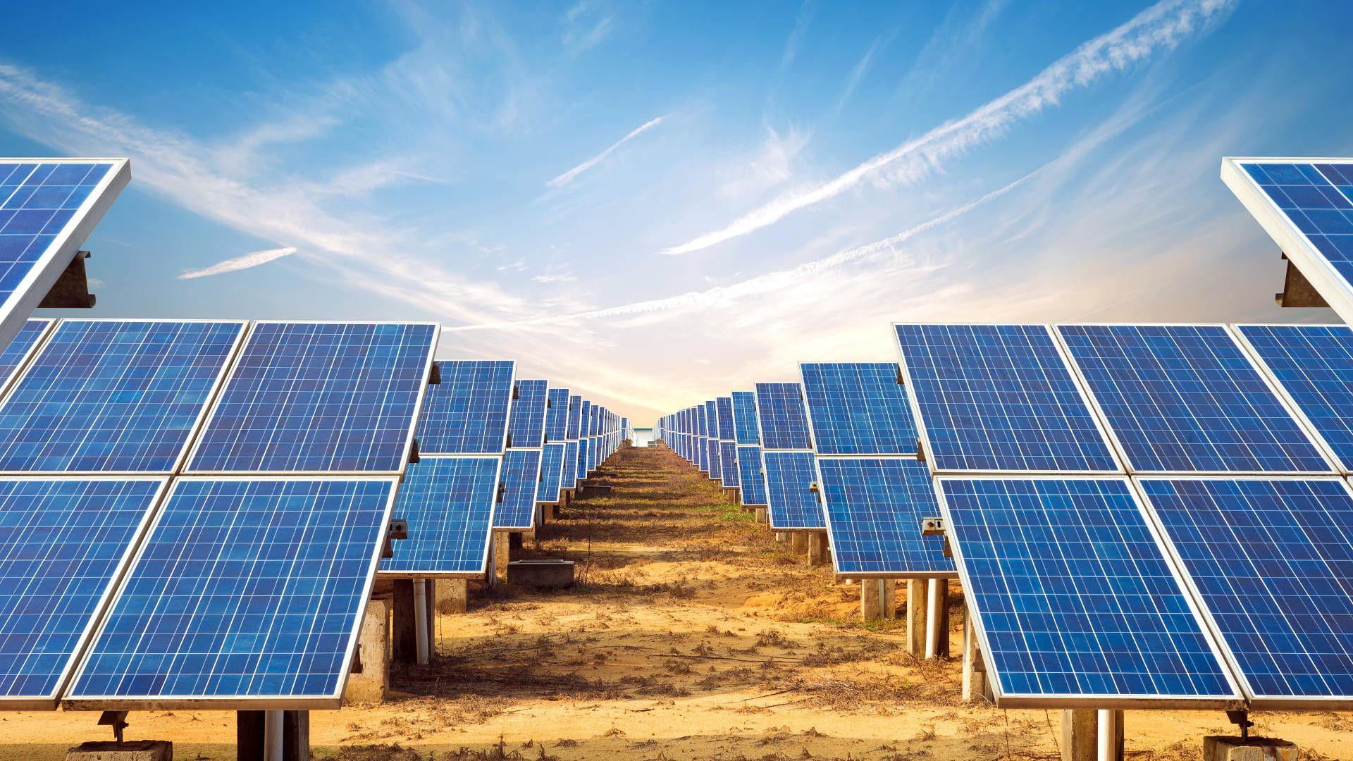 Solar farm with rows of photovoltaic panels under a bright blue sky